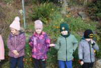 Listopadowa przechadzka