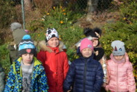 Listopadowa przechadzka