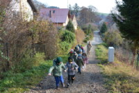 Listopadowa przechadzka