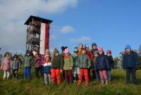 Listopadowa przechadzka