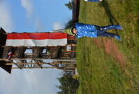 Listopadowa przechadzka