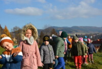 Listopadowa przechadzka