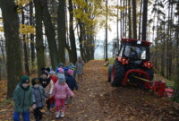 Listopadowa przechadzka