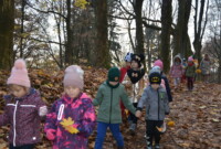 Listopadowa przechadzka