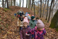 Listopadowa przechadzka