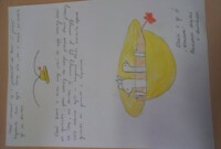 „Przygody Orła Bielika”