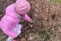 Sprzątamy dla Polski