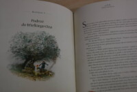 „Szlakiem dzika” w bibliotece