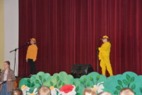 „Brzydkie kaczątko”