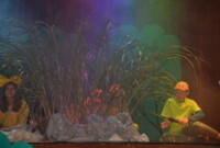 „Brzydkie kaczątko”