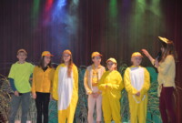 „Brzydkie kaczątko”