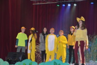 „Brzydkie kaczątko”