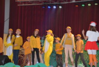 „Brzydkie kaczątko”