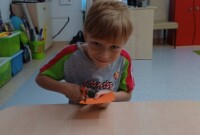 Wrzesień u Niezapominajek