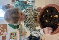 Od ziarenka do rośliny