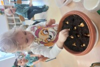 Od ziarenka do rośliny