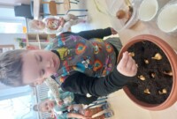 Od ziarenka do rośliny