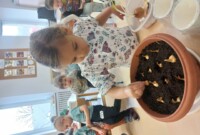 Od ziarenka do rośliny