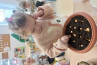 Od ziarenka do rośliny