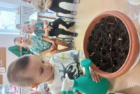 Od ziarenka do rośliny