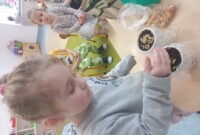 Od ziarenka do rośliny