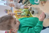 Od ziarenka do rośliny