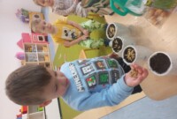 Od ziarenka do rośliny