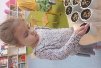 Od ziarenka do rośliny