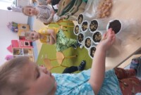 Od ziarenka do rośliny