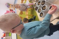 Od ziarenka do rośliny