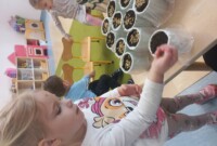 Od ziarenka do rośliny