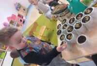 Od ziarenka do rośliny