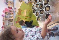 Od ziarenka do rośliny