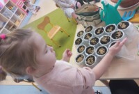 Od ziarenka do rośliny