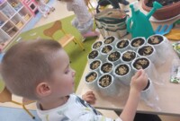 Od ziarenka do rośliny