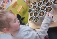 Od ziarenka do rośliny