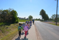 Dzień Polskiej Niezapominajki