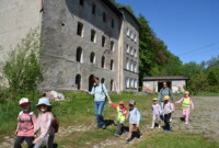 Dzień Polskiej Niezapominajki