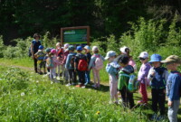 Dzień Polskiej Niezapominajki