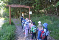 Dzień Polskiej Niezapominajki