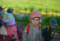 Dzień Polskiej Niezapominajki