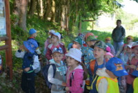 Dzień Polskiej Niezapominajki