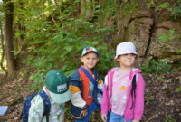 Dzień Polskiej Niezapominajki