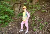 Dzień Polskiej Niezapominajki