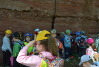 Dzień Polskiej Niezapominajki