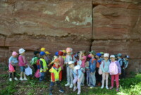 Dzień Polskiej Niezapominajki