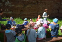 Dzień Polskiej Niezapominajki