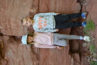 Dzień Polskiej Niezapominajki