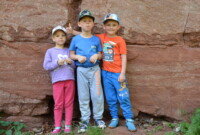 Dzień Polskiej Niezapominajki