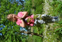 Dzień Polskiej Niezapominajki